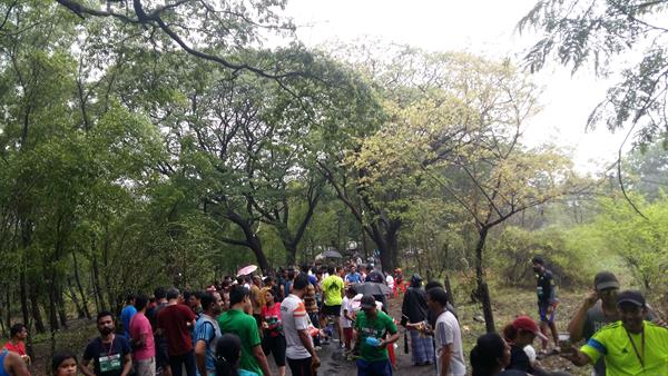 Green view of Aarey Colony Mumbai