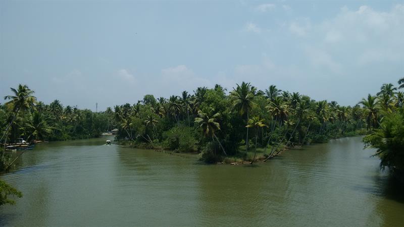 Poovar Island,Most Romantic Places in Kerala