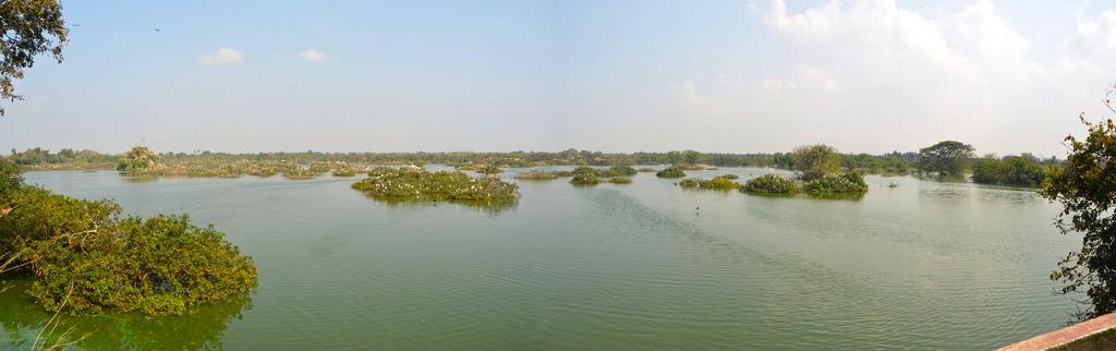 Vedanthangal-Bird-Sanctuary-TamilNadu