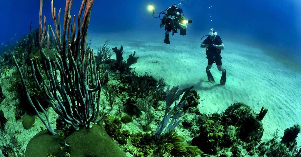 Scuba-Diving-under-sea