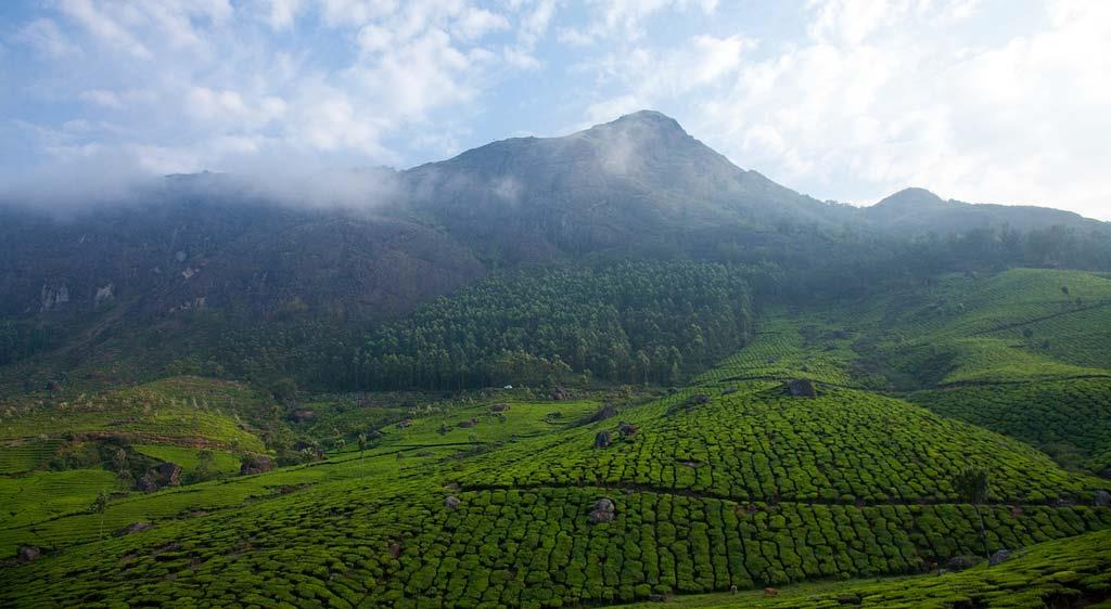 Munnar-Hills-view