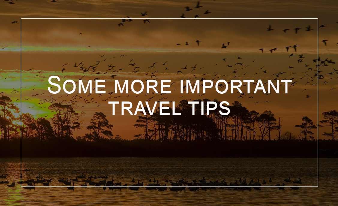 Sunset-Tips-before-visiting-a-wildlife-sanctuary
