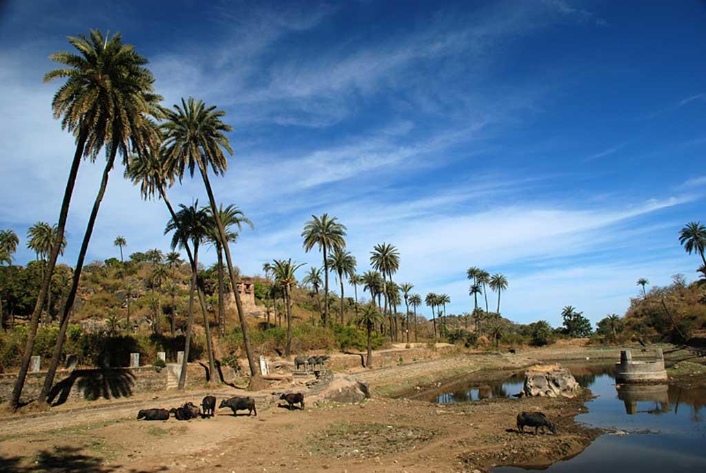 Achalgarh-fort-now