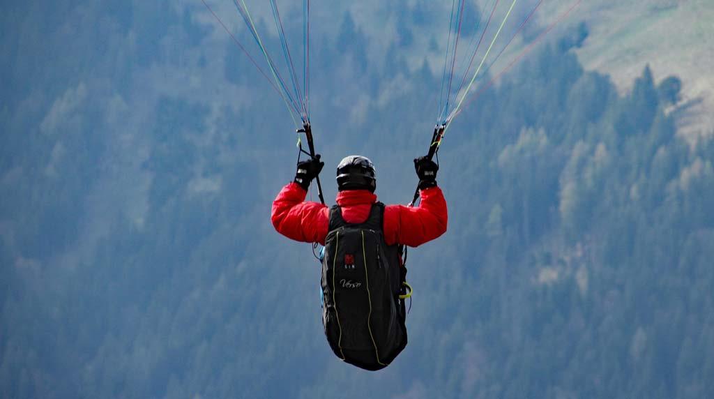 mountain-fly