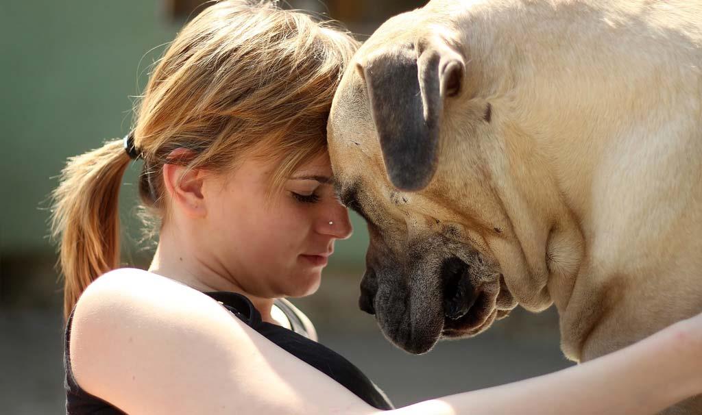 pet-dog-showing-love-towards-care-taker