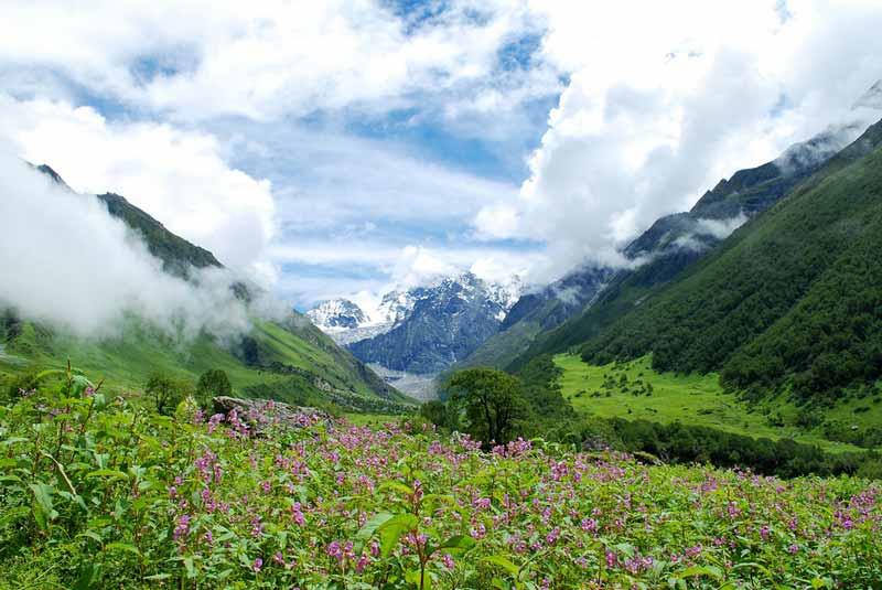 Valley of flowers in Uttarakhand