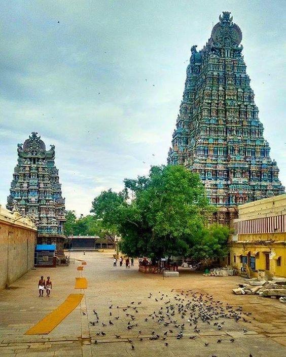meenakshi temoles