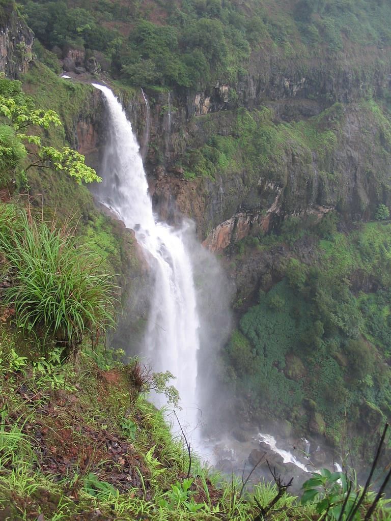 Lingamala Falls