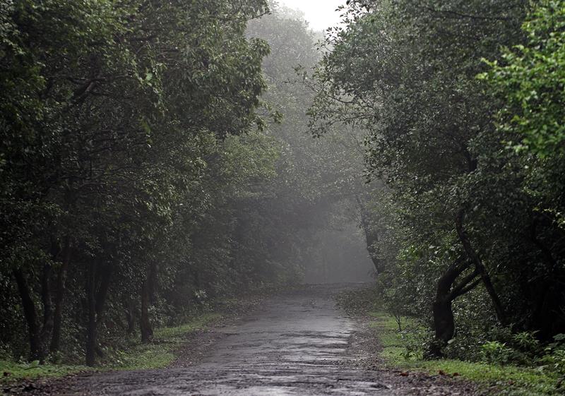 Amboli road