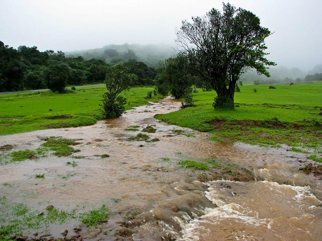 Shirgaonkar Point