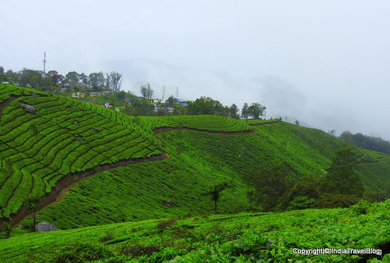 Munnar hills stations