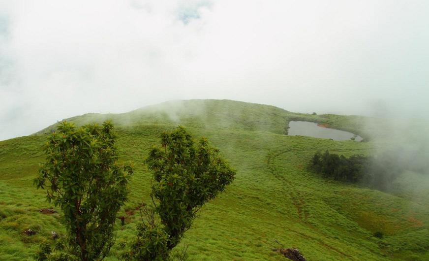 Why you should visit Wayanad