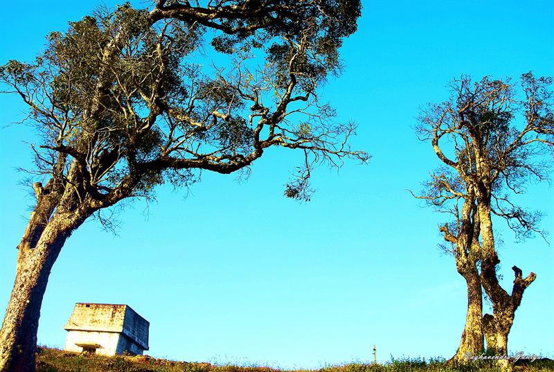 Yearcadu, Tamilnadu 10 Less popular Hill Station in India
