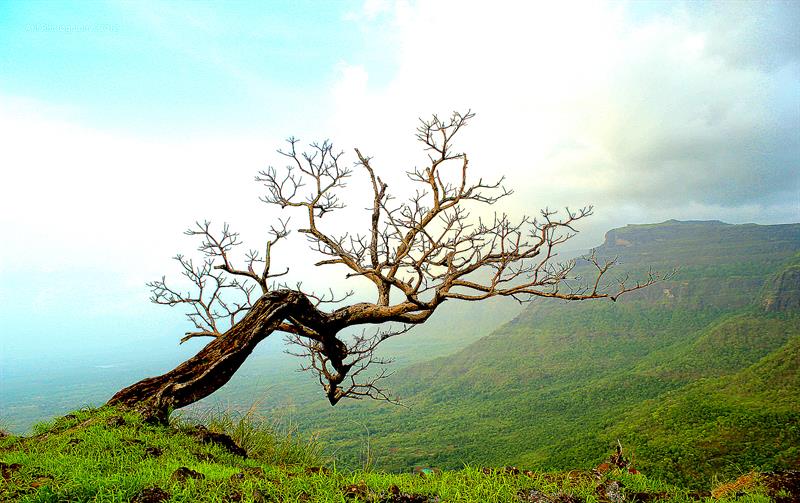 Toranmal, Maharashtra 10 Less popular Hill Station in India