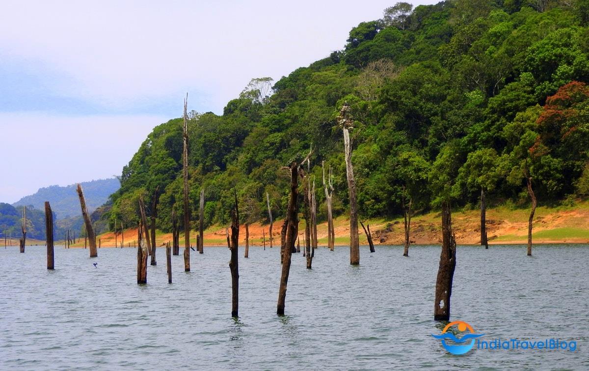 Thekkady tiger reserve and KTDC hotels