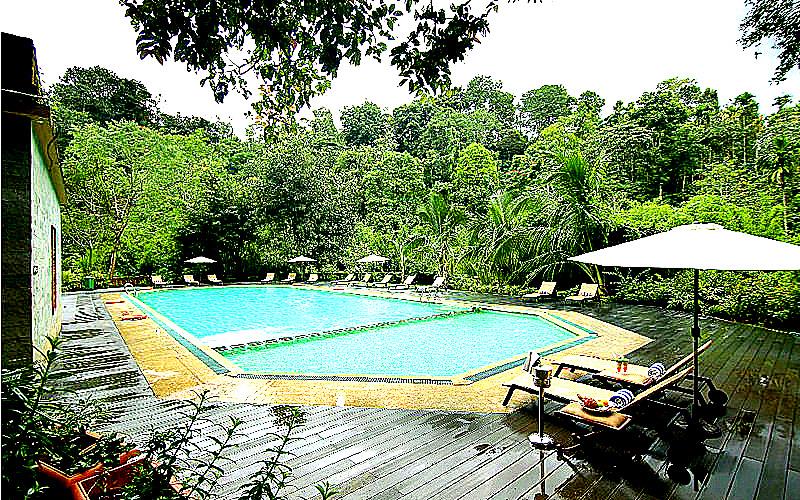 Vythiri Village Family Resort in Wayanad