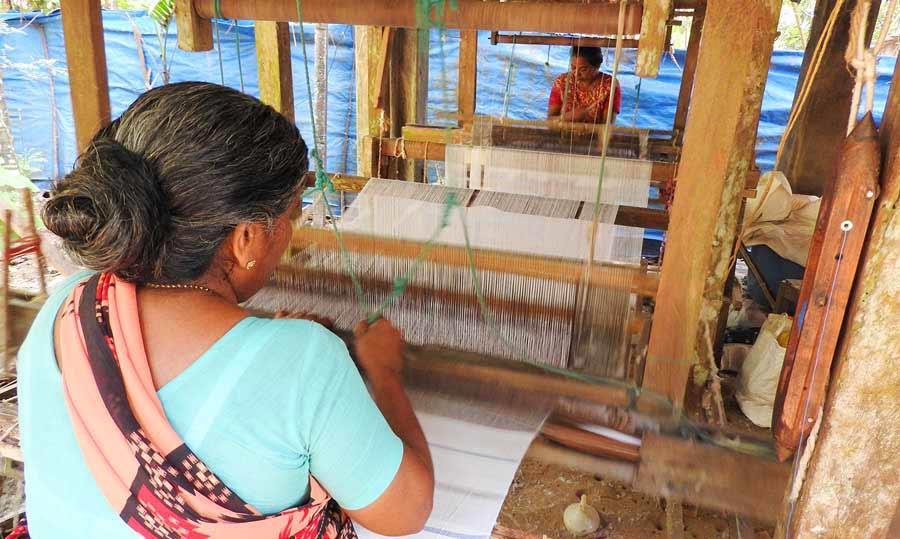 Handloom weaving unit