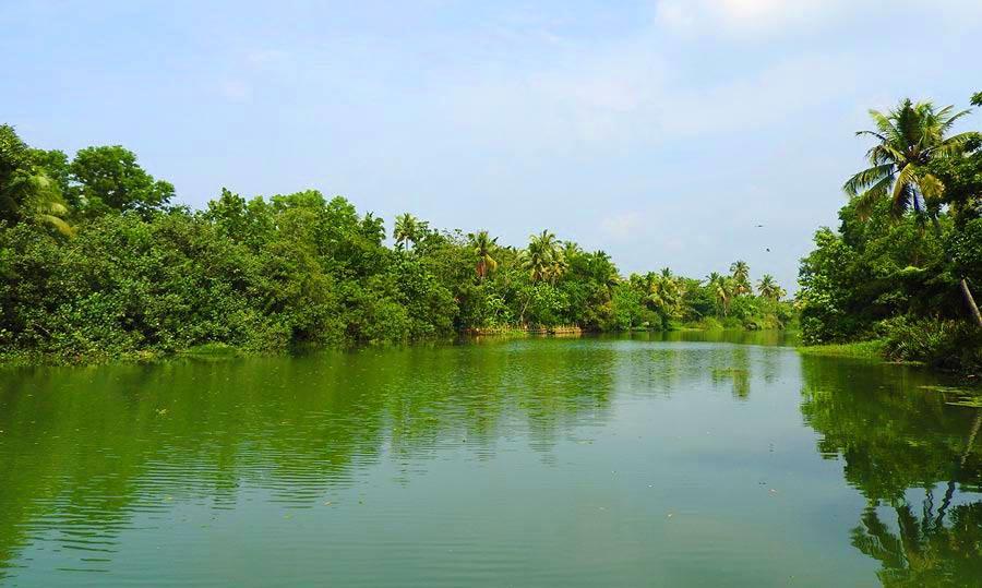 Review of Cochin Day Tours