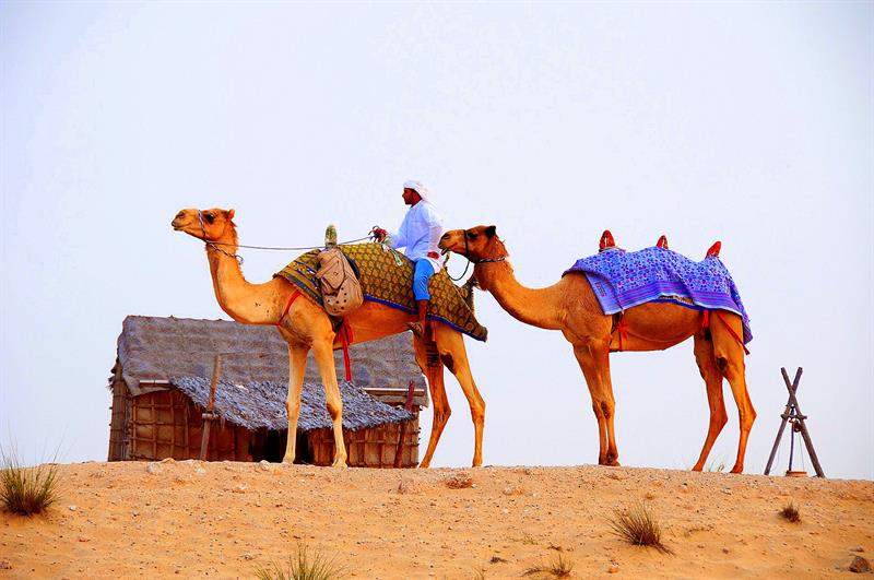 Dubai Travel Diary-Photography