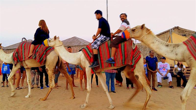 Dubai Travel Diary - Camel Riding