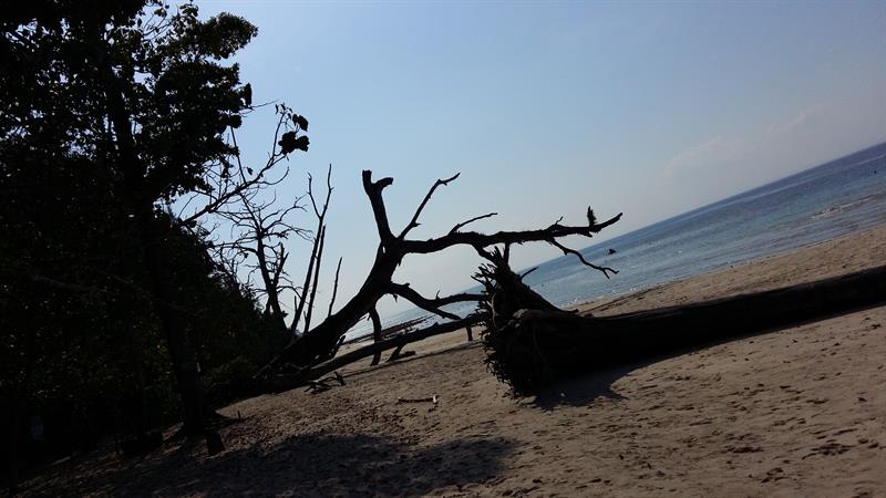 Andaman beach