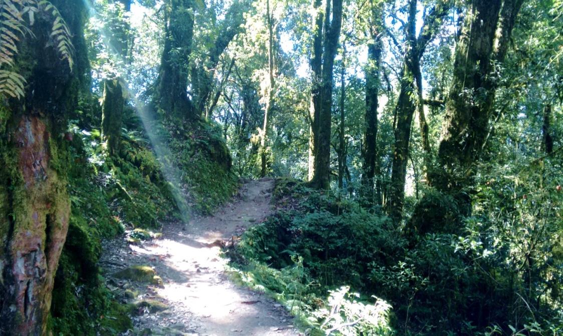 Goecha la trek Day222