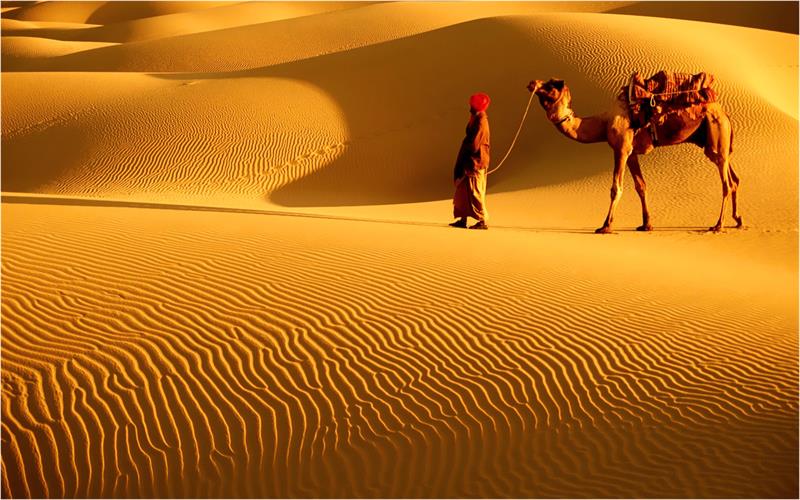 Count the stars in the Thar Desert