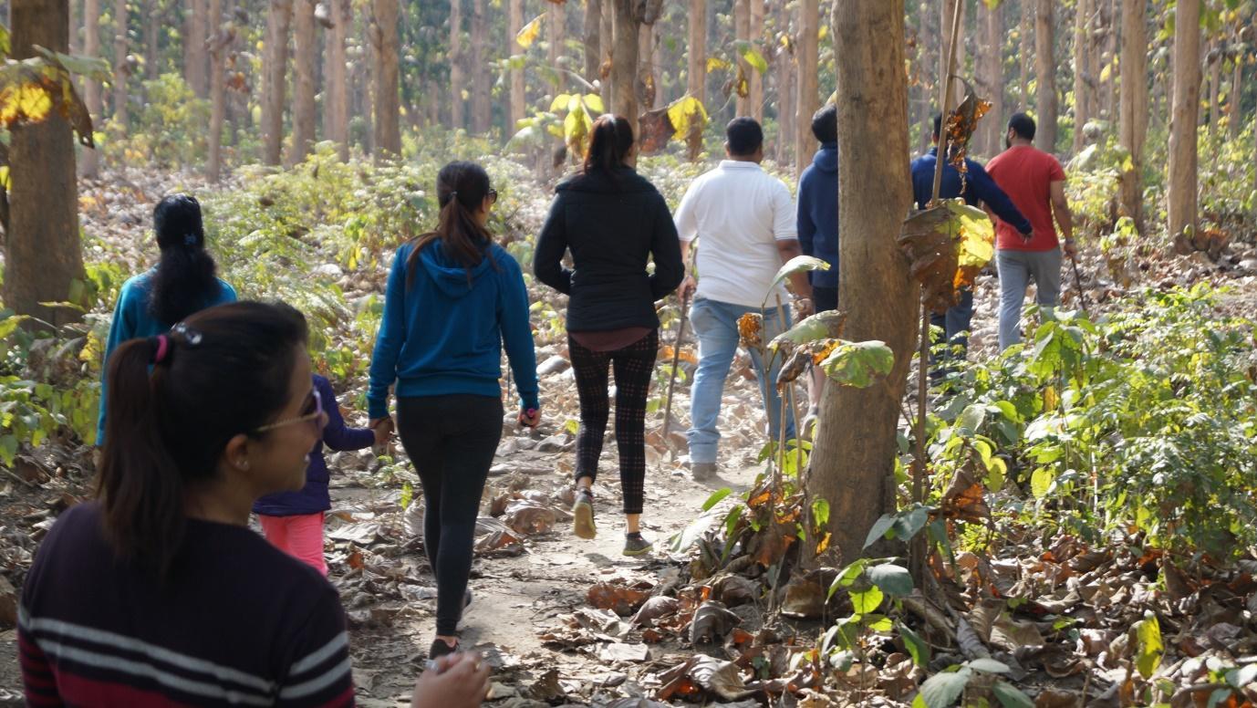 best national park in india