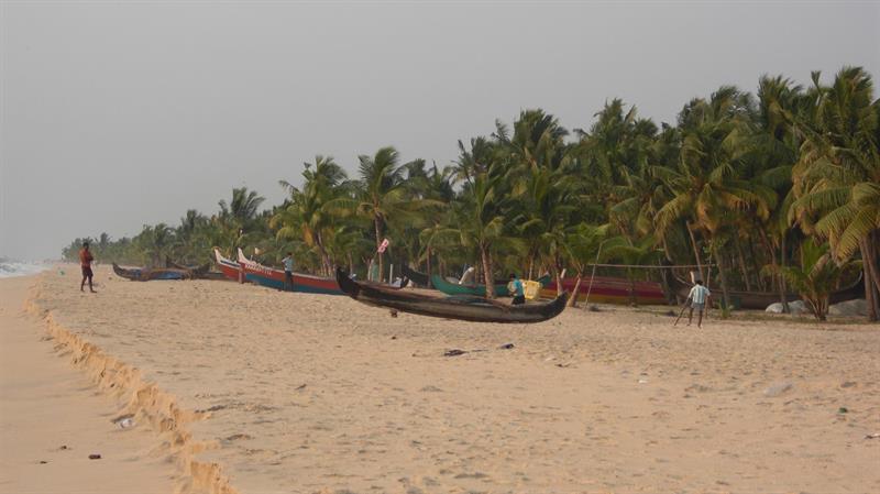 Marari