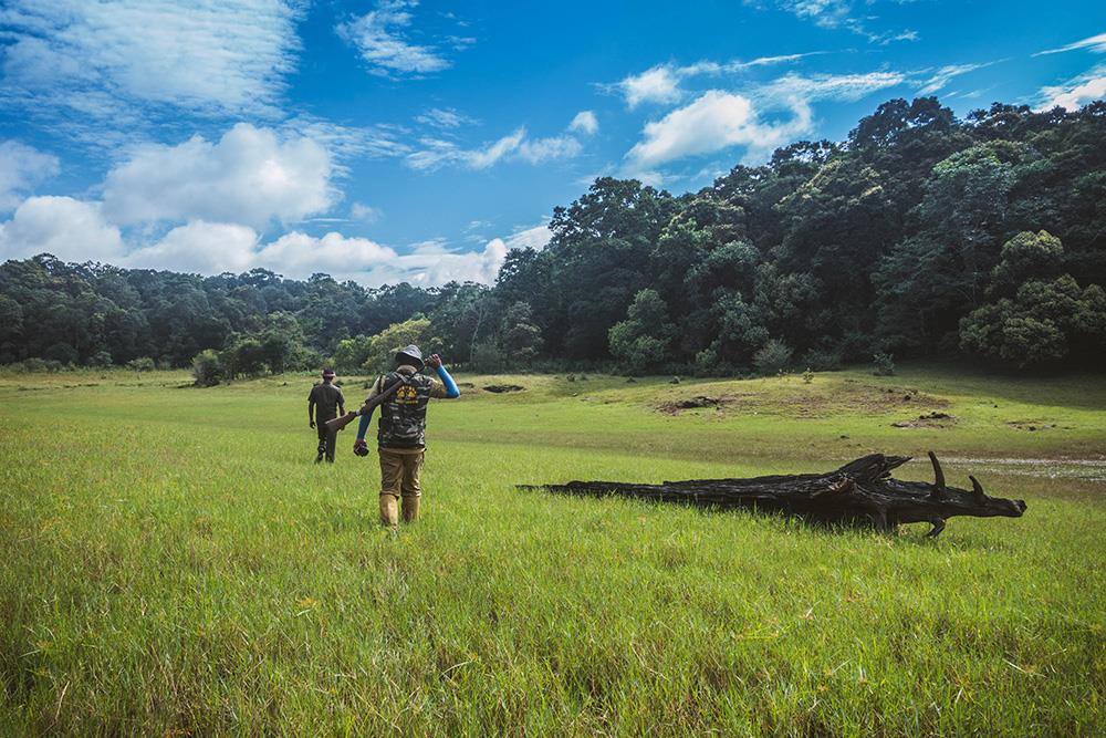 Periyar National Park, Kerala