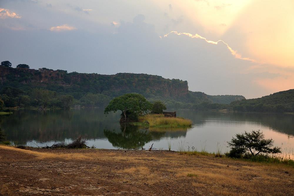 Ranthambore National Park, Rajasthan