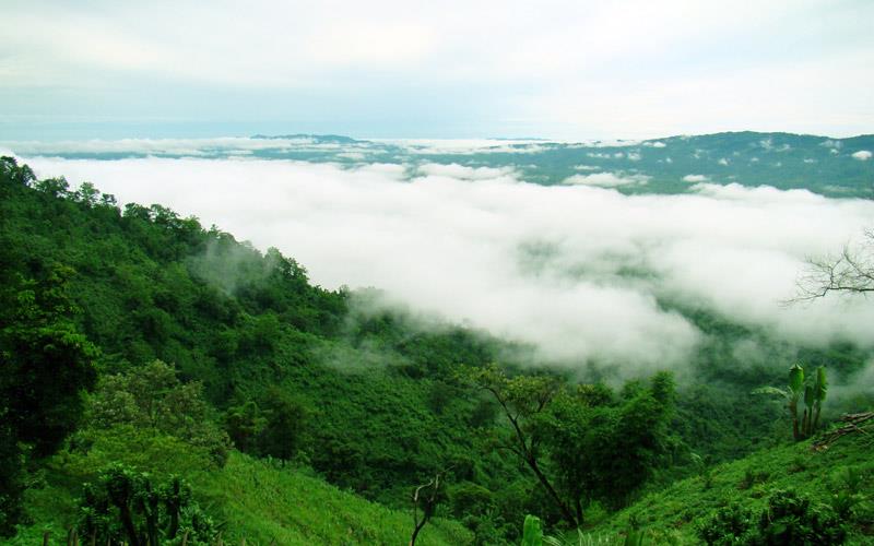 Jampui-hills-tripura - Places to Visit in North East India