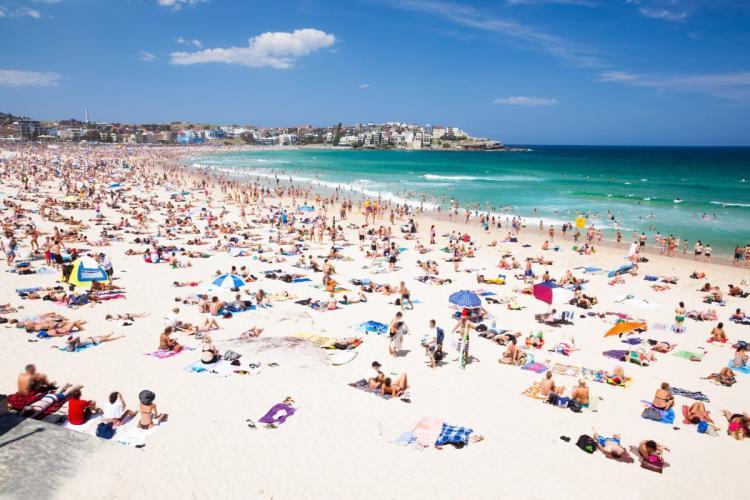 noosa