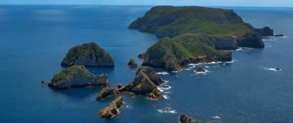 Poor Knights Islands