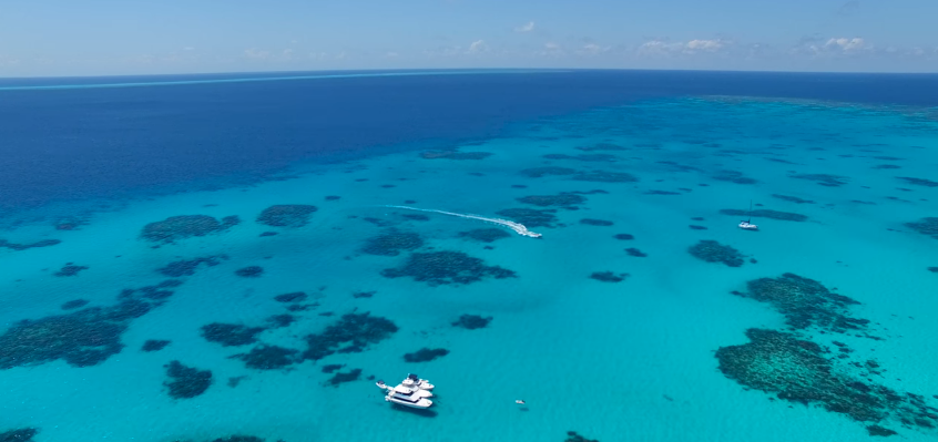 great barrier1