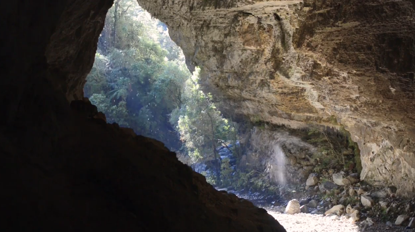 Explore the Culture & Traditions of New Zealand