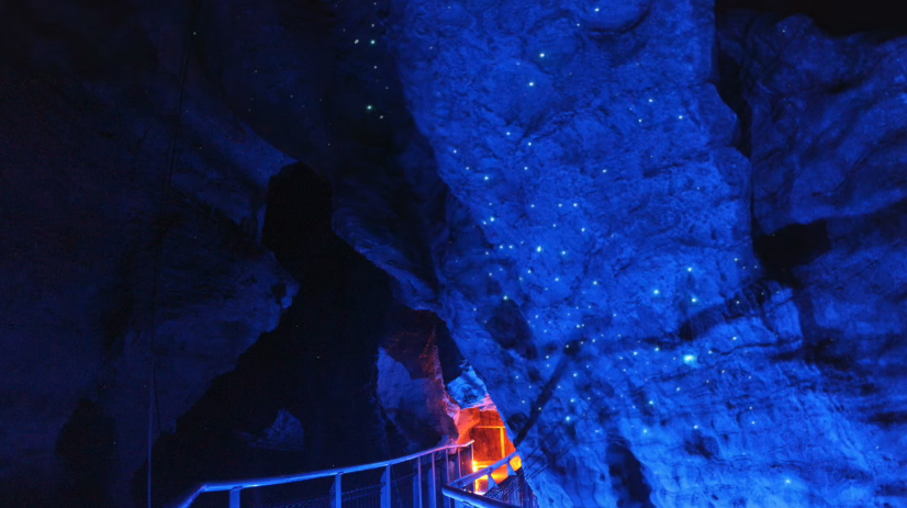 Explore the Culture & Traditions of New Zealand