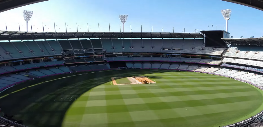 cricket1