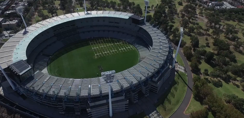 cricket2