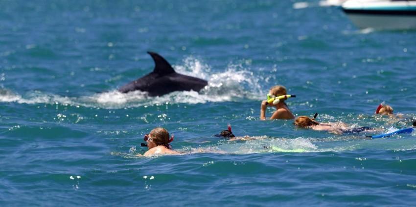 Things To Do In New Zealand