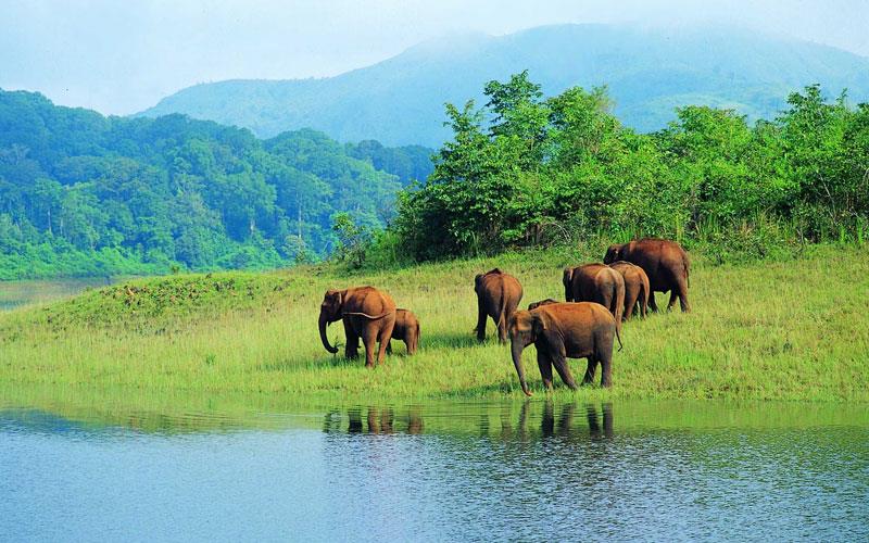 top 10 wildlife safaris in india