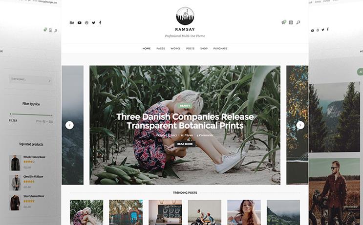 Wordpressthemes