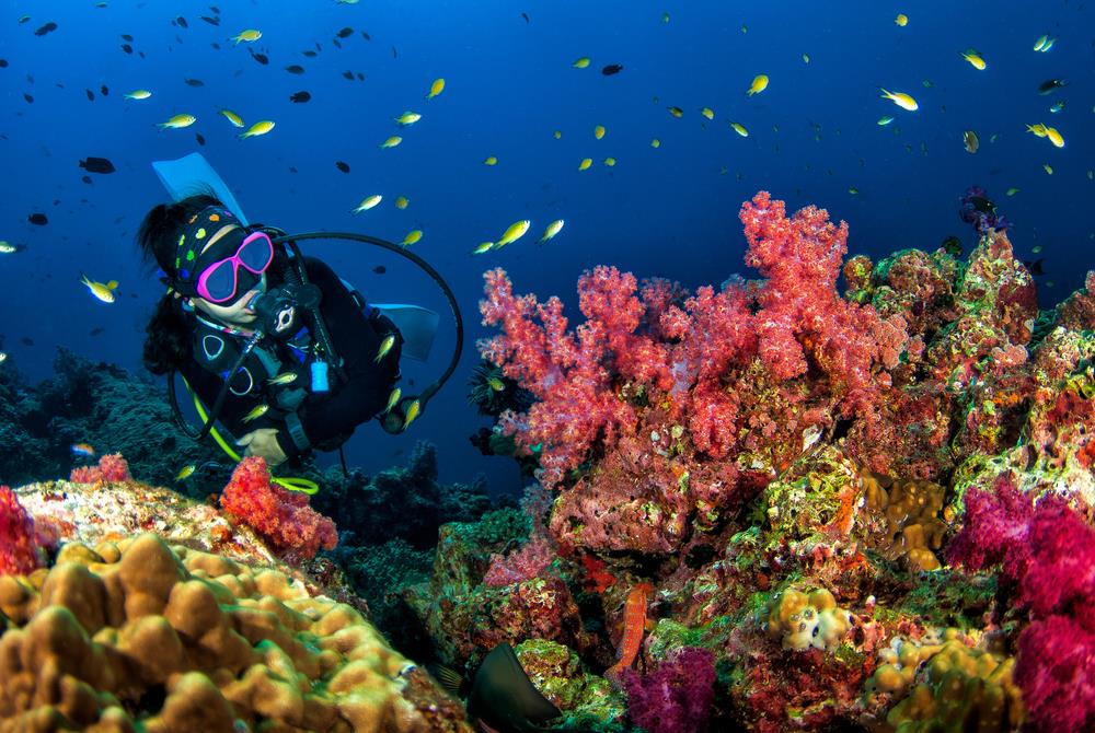 scuba diving in Kerala