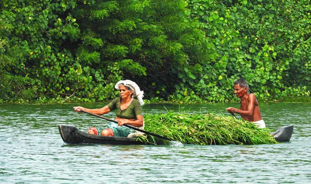 cochin day tour experience