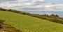 Luxury Travel in New Zealand