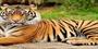 Top 10 Places To Include In Your Sundarban Tour Package From Kolkata
